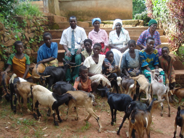 goats.jpg
